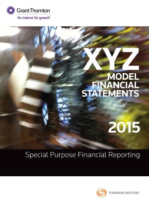XYZ Model Financial Statements 2015 Special Purpose cover